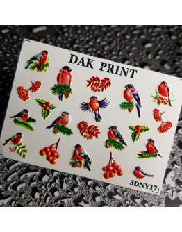 Dak Print, 3D-слайдер №17NY