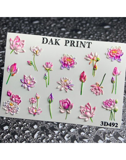 Dak Print, 3D-слайдер №492