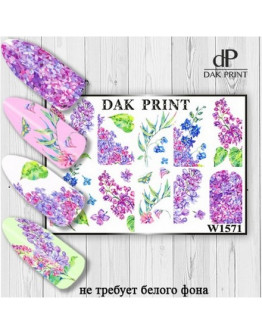 Dak Print, Слайдер-дизайн №1571