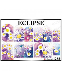 Eclipse, Слайдер-дизайн №1288