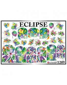Eclipse, Слайдер-дизайн №1209