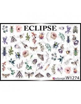 Eclipse, Слайдер-дизайн W №1274