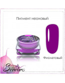 Набор, Serebro, Пигмент неоновый, фиолетовый, 5 шт.
